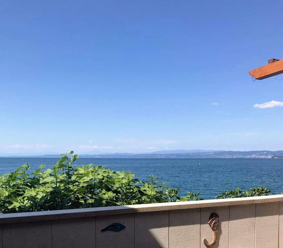 Apartmaji Pri Bosi Nogi Izola Buitenkant foto